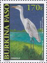 Cattle Egret (Bubulcus ibis)